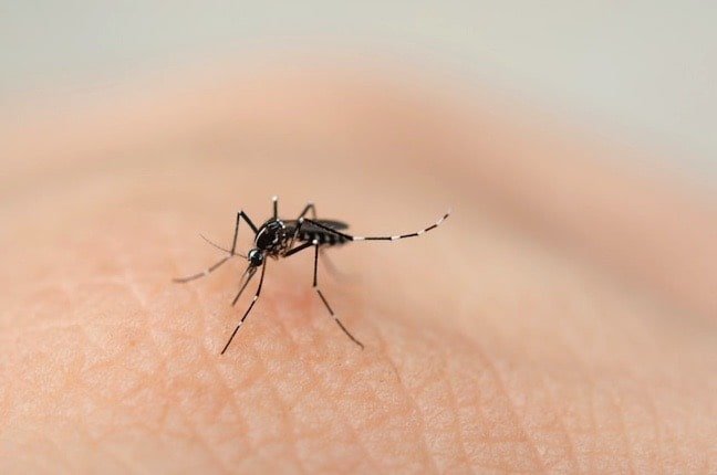 SP terá novas ações para reforço ao combate à dengue