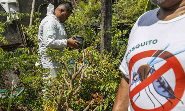 Dia D contra dengue promove ações de conscientização em todo o Brasil Dia D contra dengue promove ações de conscientização em todo o Brasil