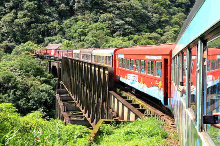 Passeio de trem da Serra do Mar Paranaense é eleito um dos melhores do mundo por publicação internacional