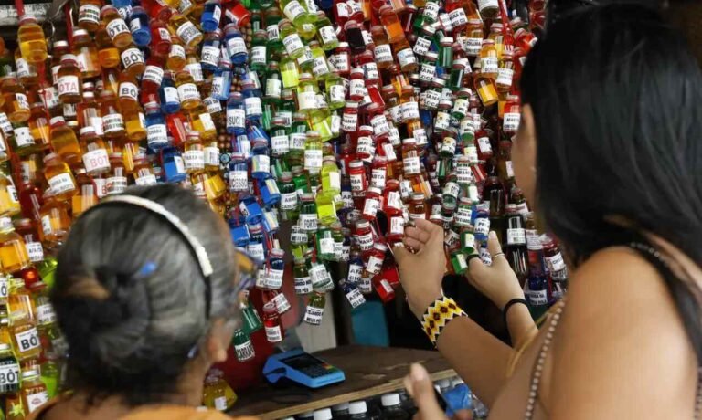 Empresários da Amazônia buscam protagonismo na COP30 Empresários da Amazônia buscam protagonismo na COP30