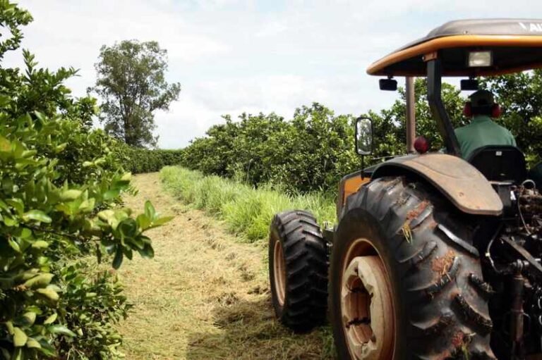 Agro paulista registra superávit de US$ 3 bi no primeiro bimestre de 2025 Agro paulista registra superávit de US$ 3 bi no primeiro bimestre de 2025