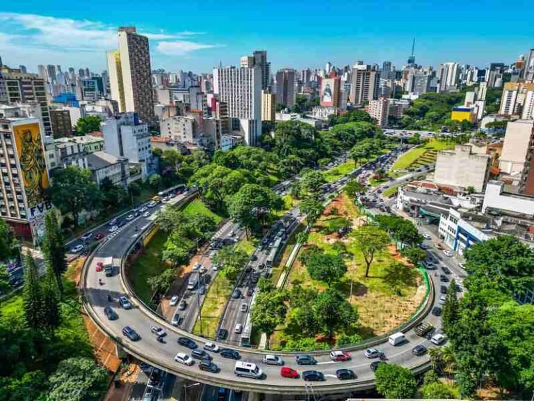 Prefeitura de SP anuncia 50 bosques urbanos, plantio de 120 mil árvores e transplante de espécies adultas Prefeitura de SP anuncia 50 bosques urbanos, plantio de 120 mil árvores e transplante de espécies adultas