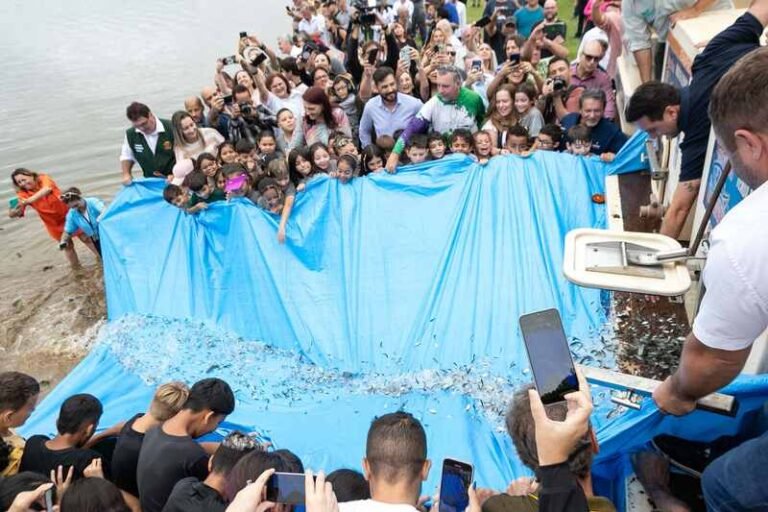 Parque Passaúna em Curitiba é repovoado com meio milhão de peixes nativos Parque Passaúna em Curitiba é repovoado com meio milhão de peixes nativos