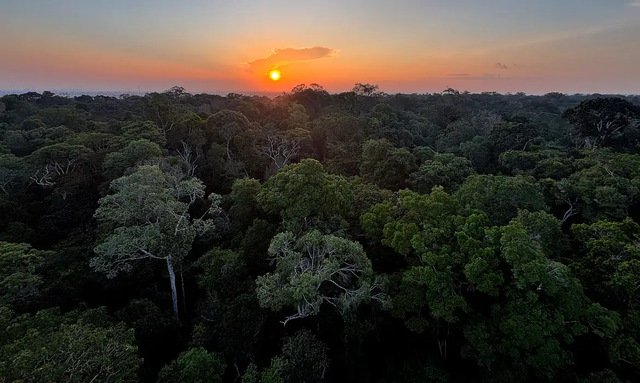 Começa hoje em Brasília a 5ª Conferência Nacional do Meio Ambiente